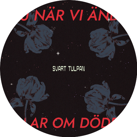 Svart Tulpan