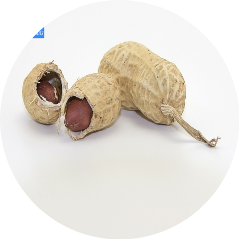Coffee Pop