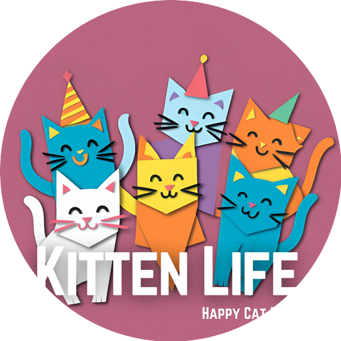 Happy Cat Party