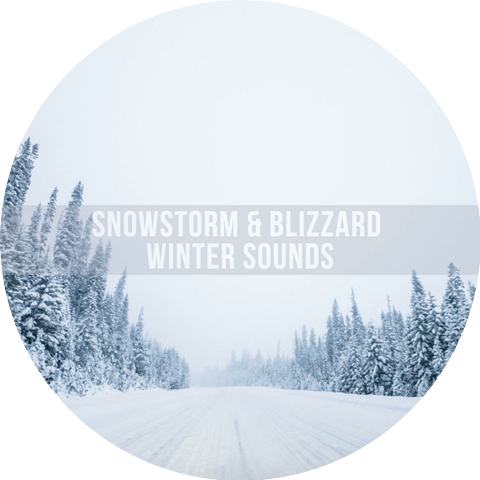 Snowstorm Sounds
