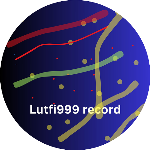 Lutfi999 record