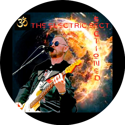 The Electric Sect