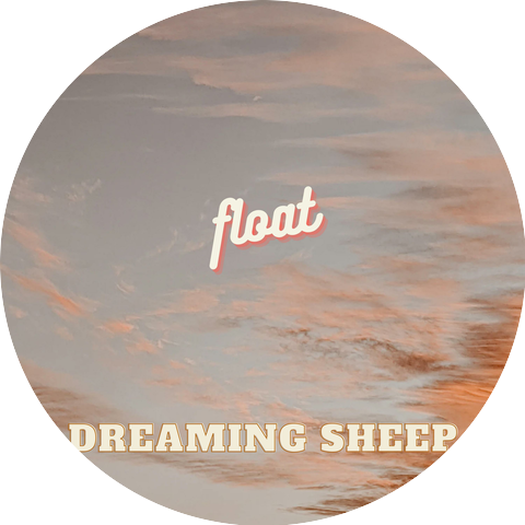 dreaming sheep