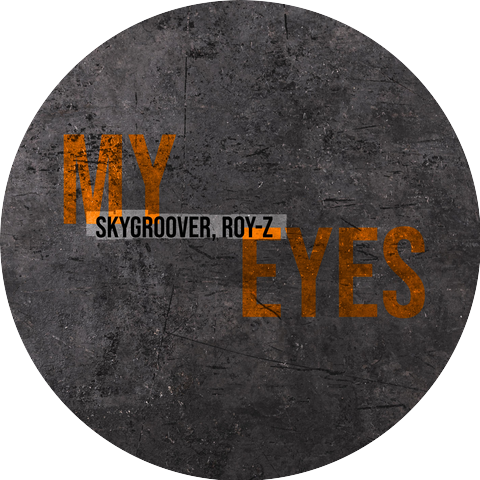 Skygroover & Roy-Z