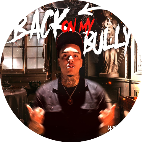 YS Bully