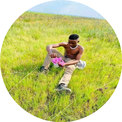 Slesh Wiz RSA