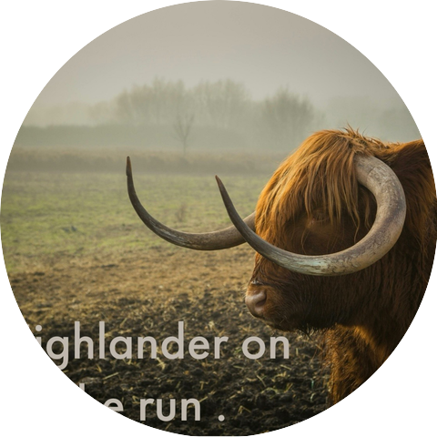 Highlander on the run