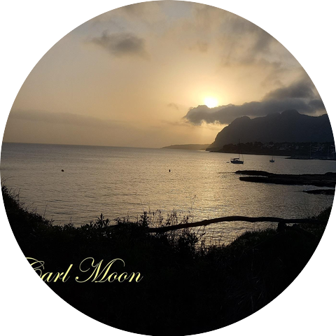 Carl Moon