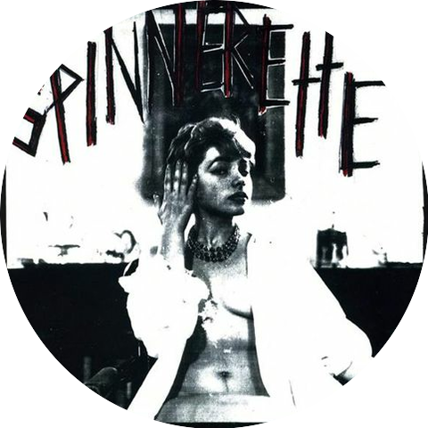 Spinnerette