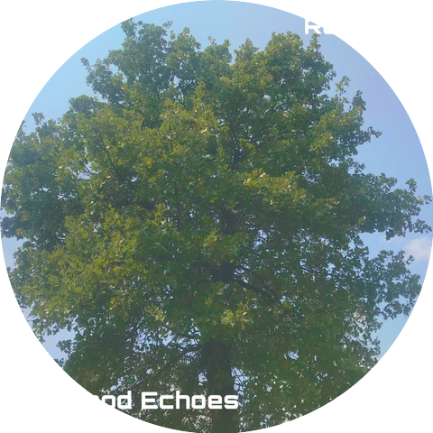 Oakwood Echoes