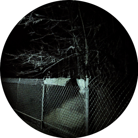 silent collision