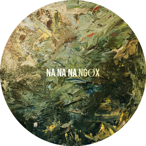 NgơX