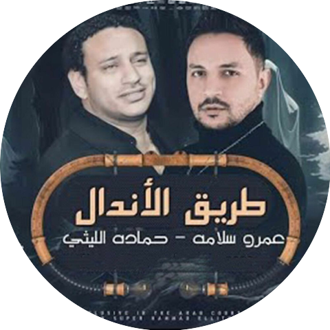 حماده الليثي