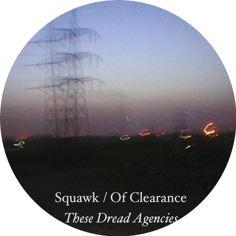 Squawk of Clearance