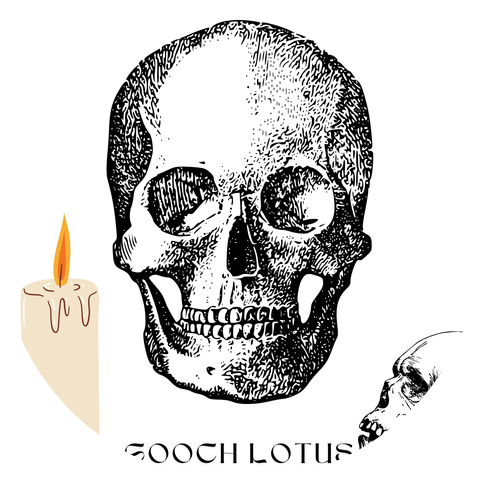 Gooch Lotus