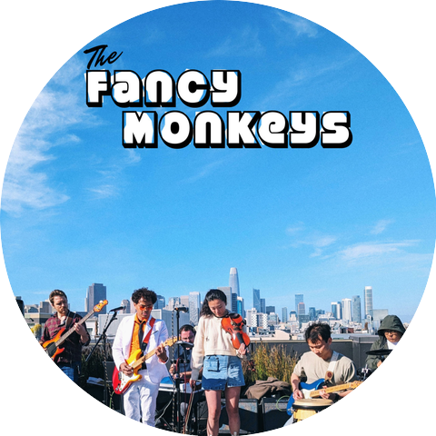 The Fancy Monkeys