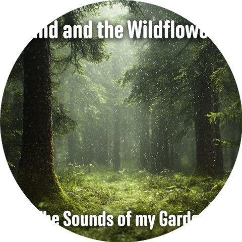 ASMR Sound Collective