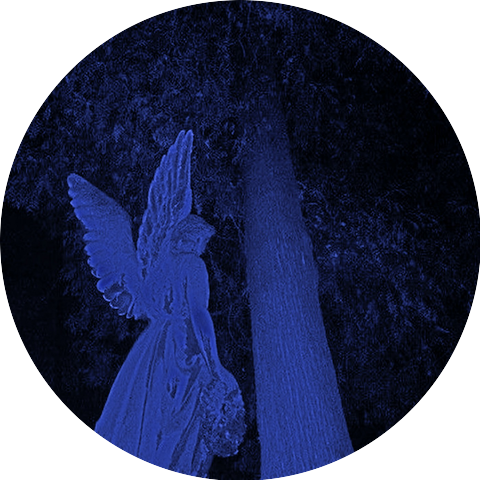 overnight snow & swinq