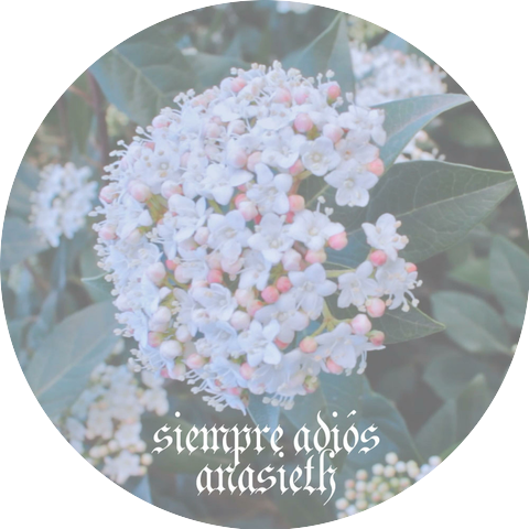Anasieth