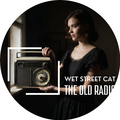 Wet Street Cat
