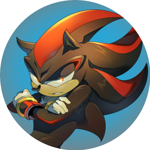 Shadow The Hedgehog Lofi & Decisions