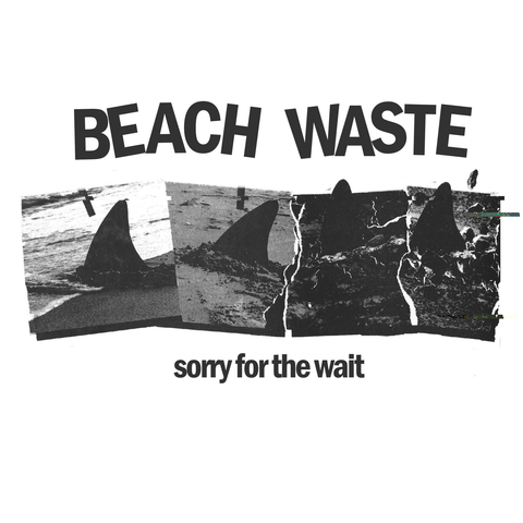 Beach Waste