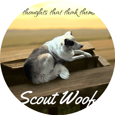 Scout & Sam Productions