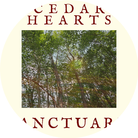 Cedar Hearts