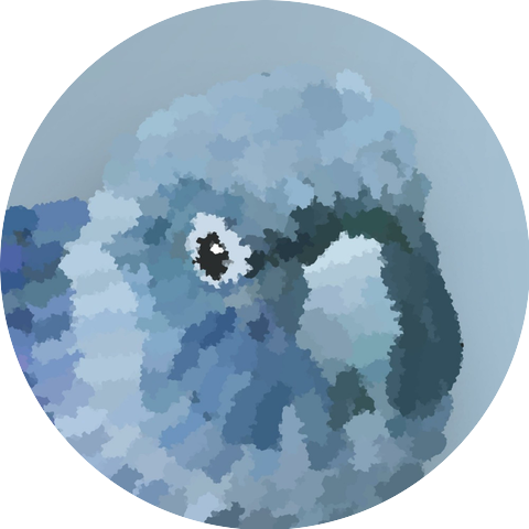 Cmyth
