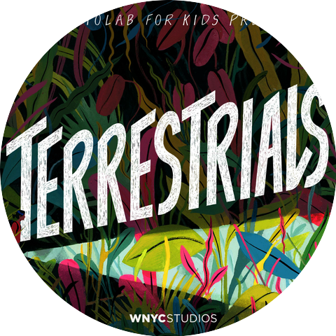 The cast of Terrestrials