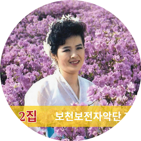 보천보전자악단 제
