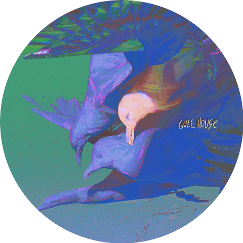 Gull House