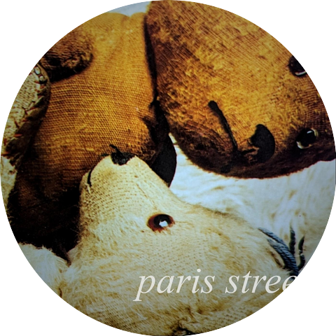 Paris Street
