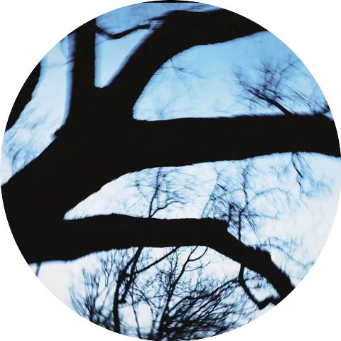 RUI-耶子岛,Sevenight