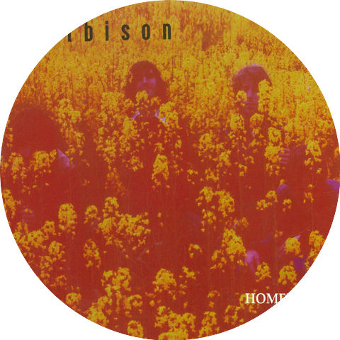 Gelbison