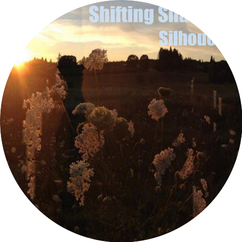 Shifting Shadows