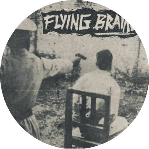 Flying Brains
