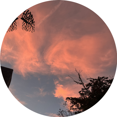 Lunghorn