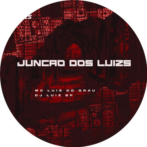 DJ Luiz SP & MC Luis do Grau