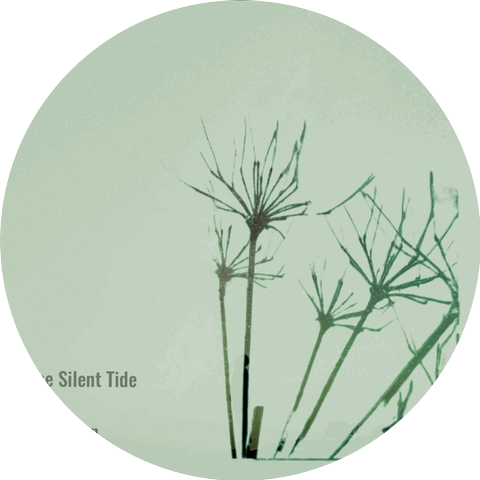The Silent Tide
