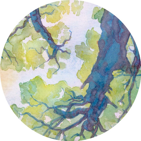 Dub Cavern x Joe Webb