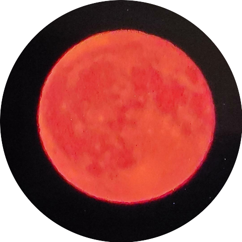 Professor Dene Frauzen