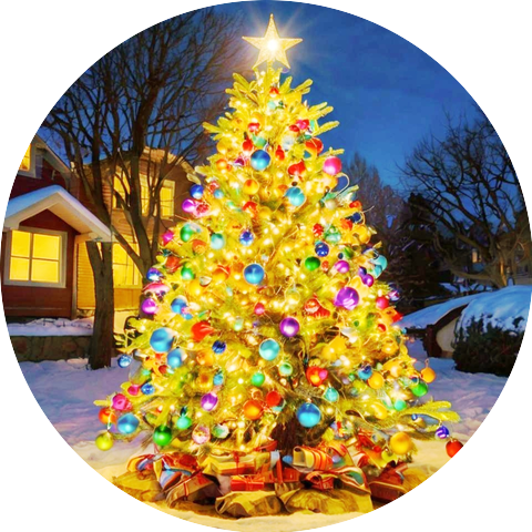 The Merry Christmas Choir