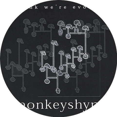 Monkeyshyne