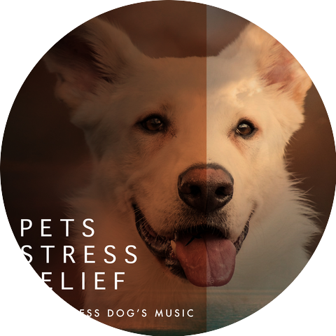 Anti Stress Dog’s Music