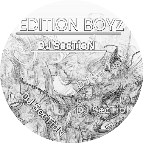 Dj section