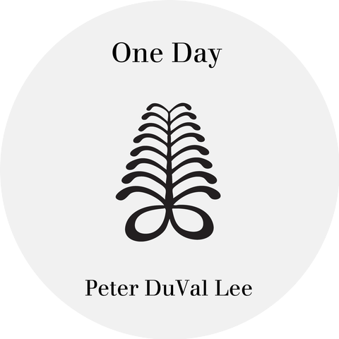 Peter Duval Lee