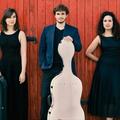 Trio Karénine