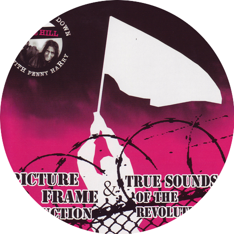 Picture Frame Seduction & True Sounds of the Revolution