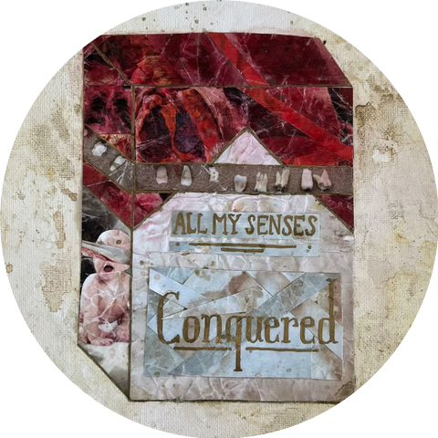All My Senses